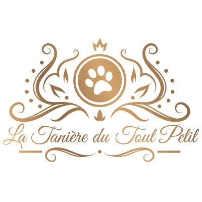 a vendre chiot miniature sud france occitanie